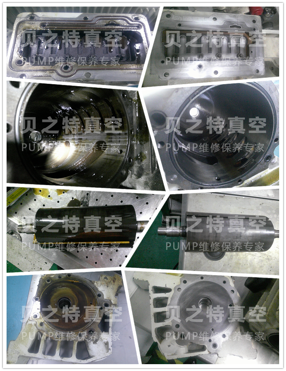 Leybold萊寶油泵SV300B維修圖
