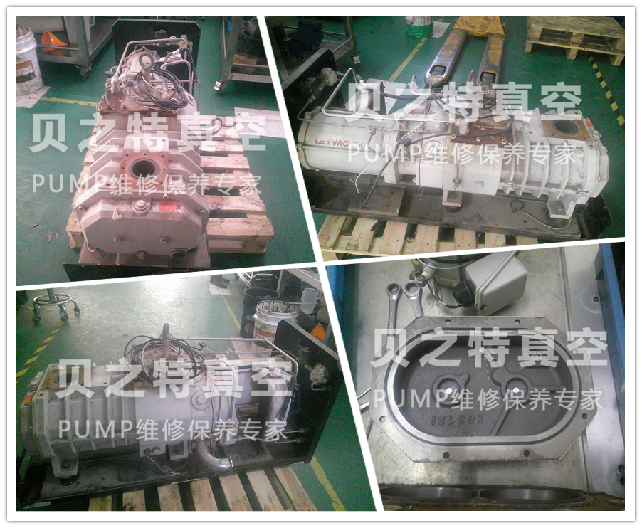 lv250萊寶發布.png