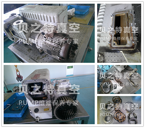 萊寶SV300B-7-發布.png