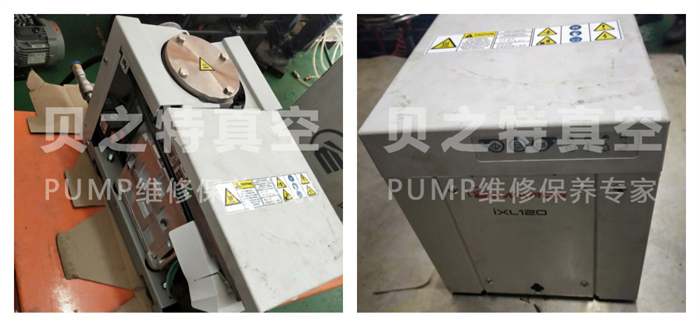 愛德華ixl120-01.jpg