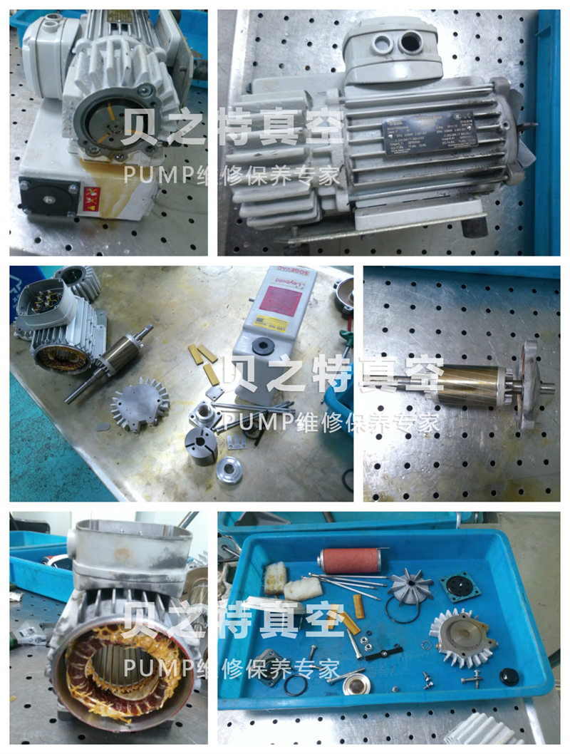 萊寶sv16b-案例水印.jpg