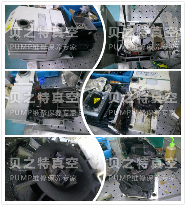 萊寶d16b-1發(fā)布.png