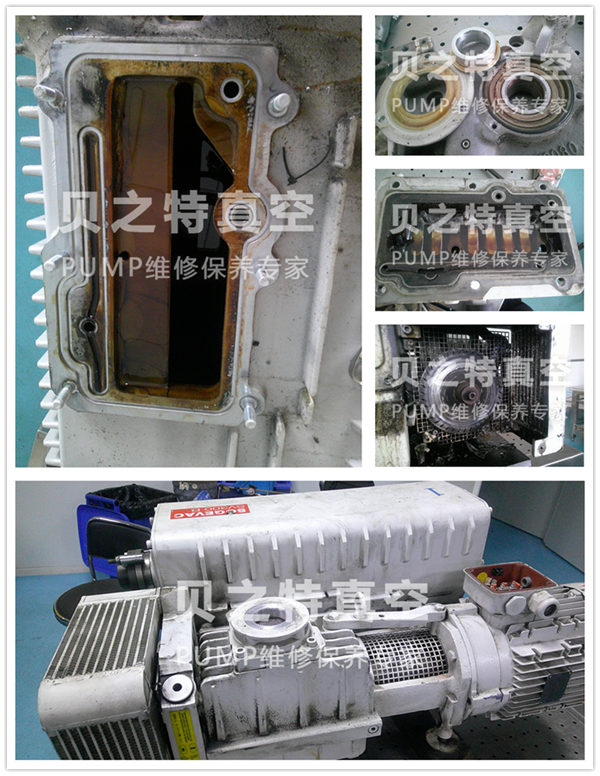 萊寶SV300B--.png